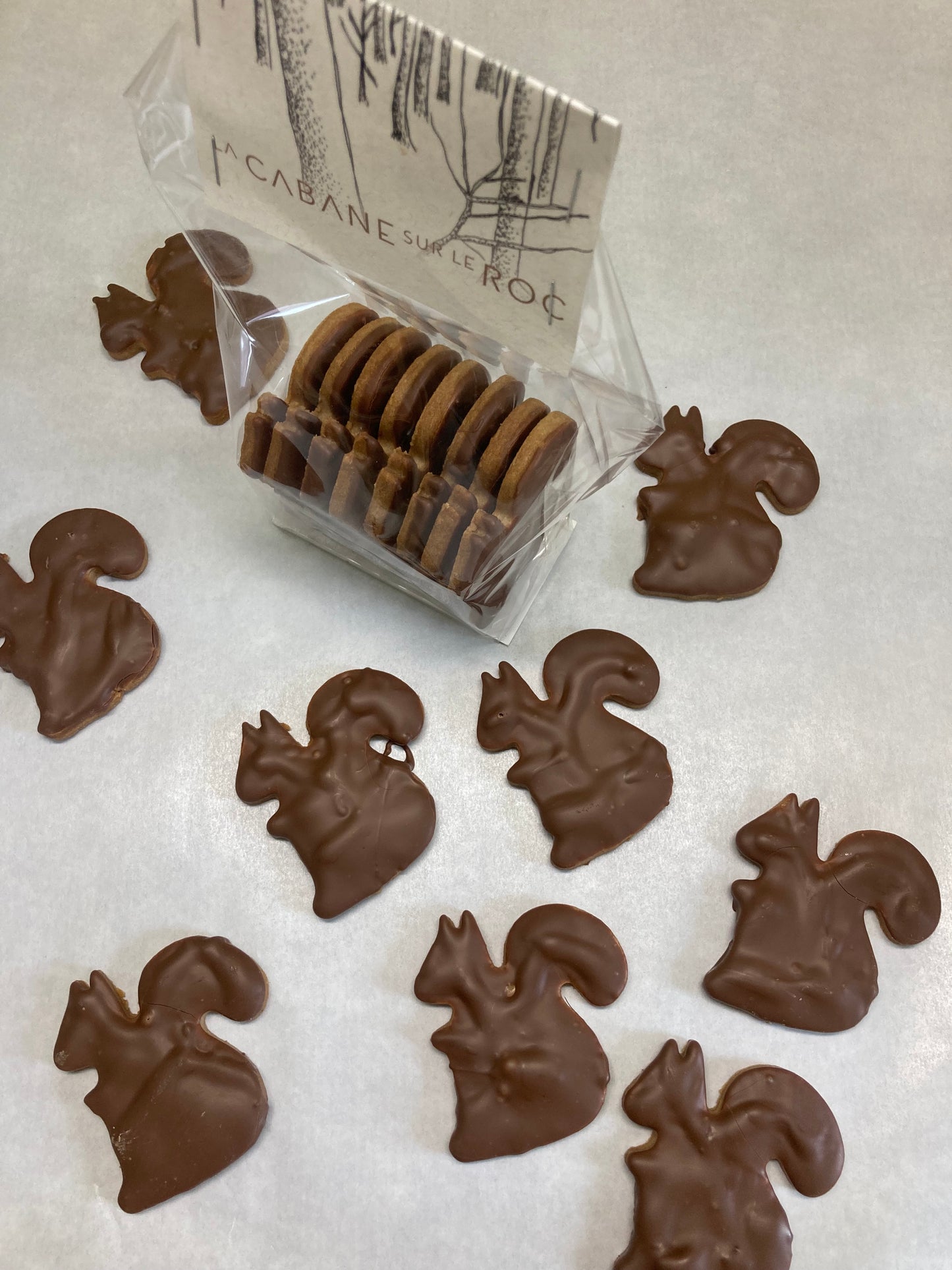 Sablés écureuils avec chocolat au lait