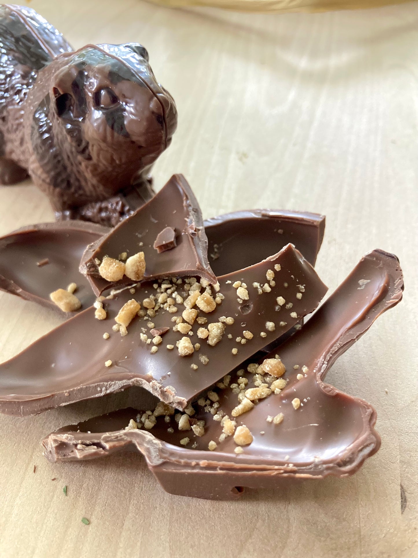 Petit castor en chocolat
