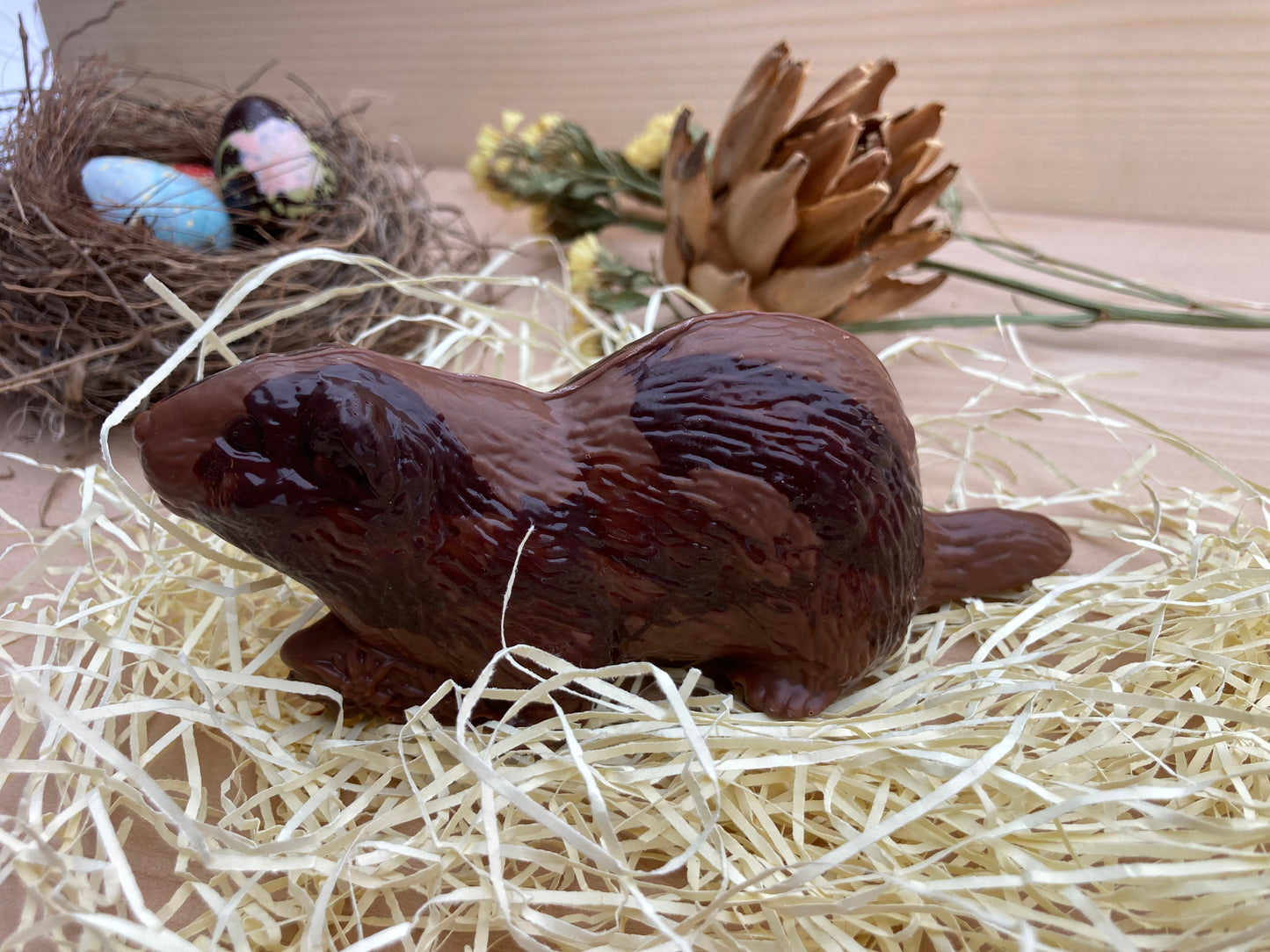 Petit castor en chocolat