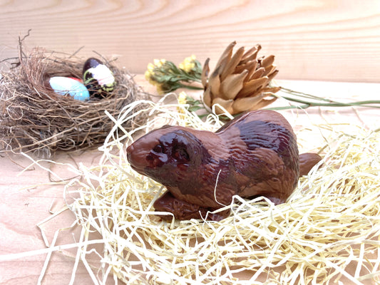 Petit castor en chocolat