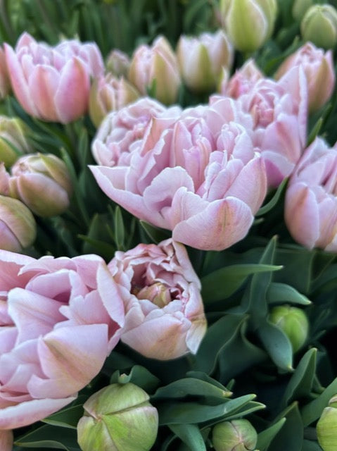 Bouquet de fleurs locales