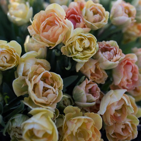 Bouquet de fleurs locales
